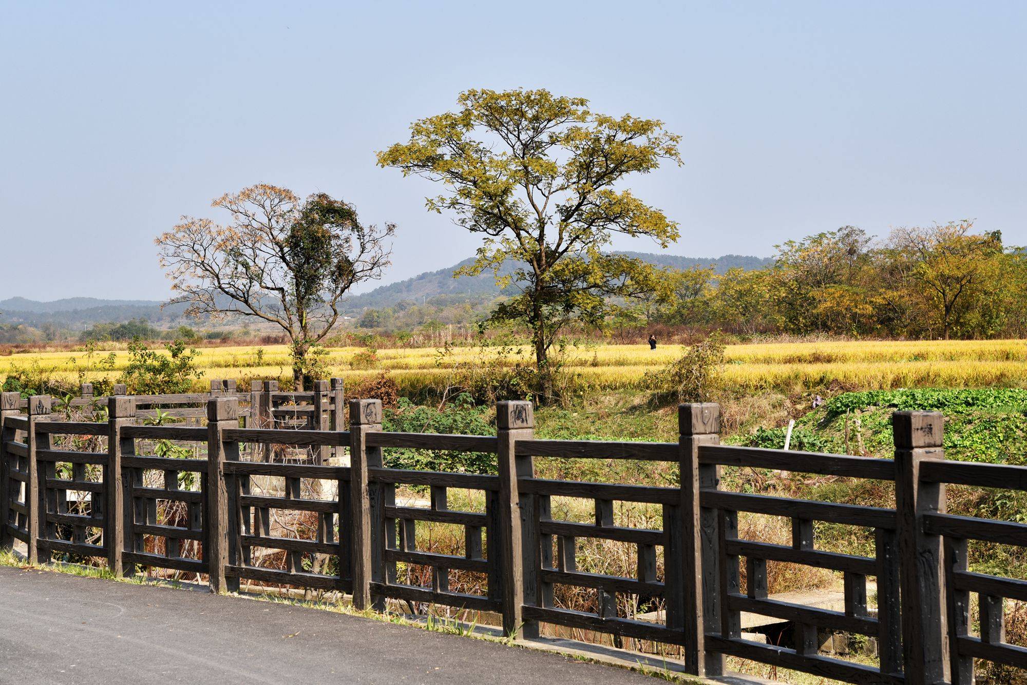 方山县:飞驰赛道打造乡村旅游新景点(图1)