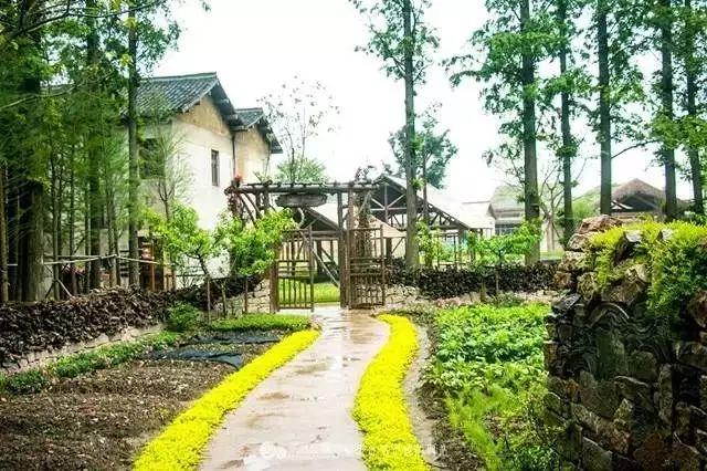 乡村民宿体验升级文化与休闲完美融合(图1)